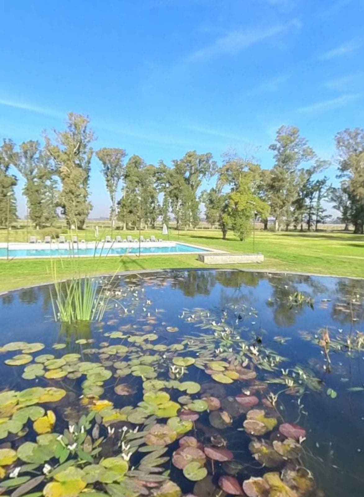 Terreno / Lote en Venta en General Rodríguez