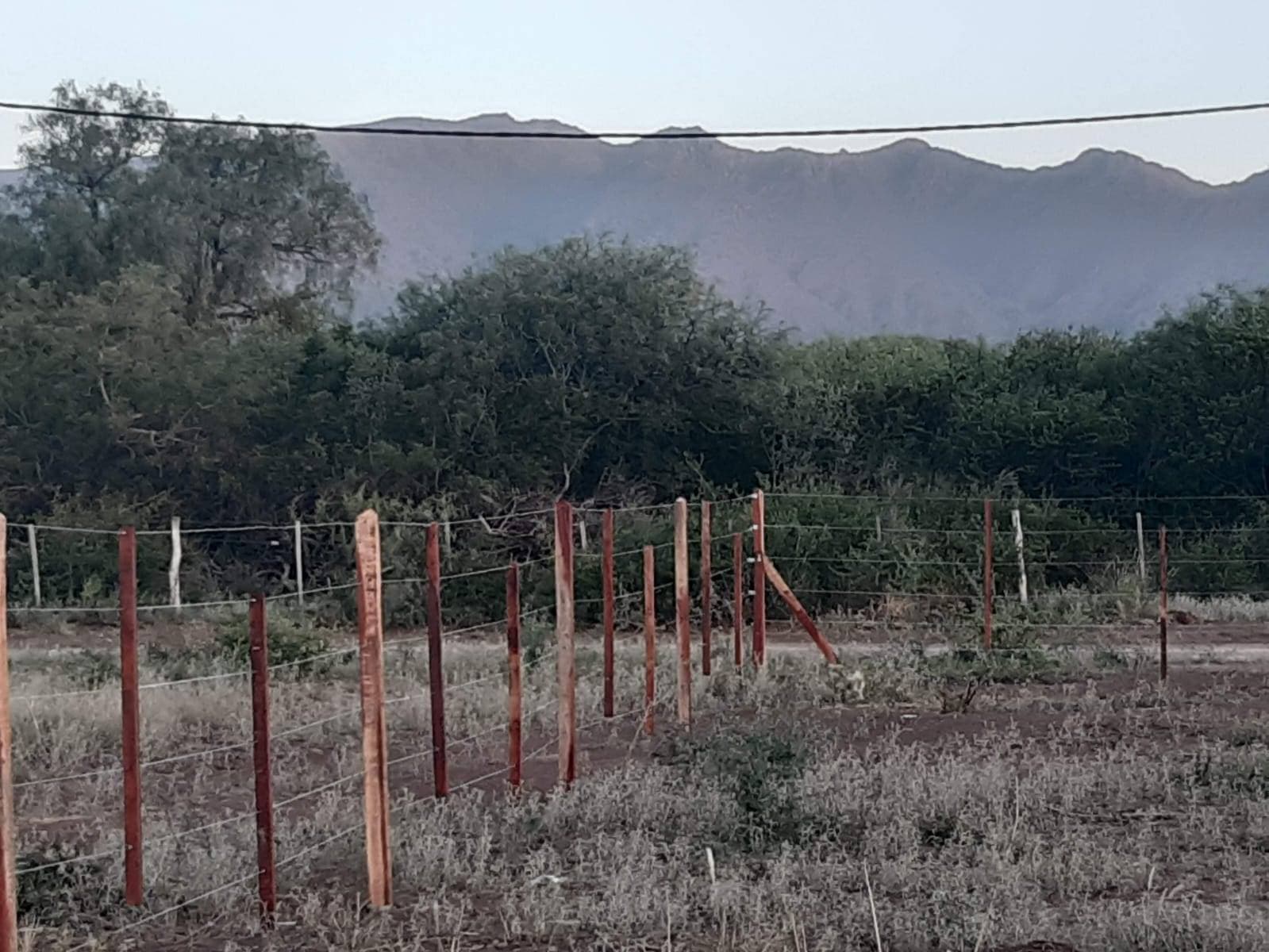 Terreno / Lote en Venta en Nogolí