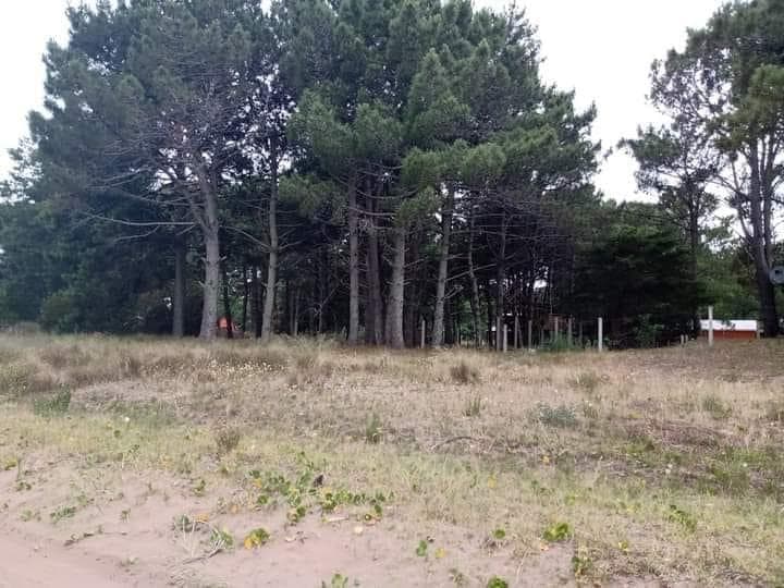 Terreno / Lote en Venta en Nueva Atlantis